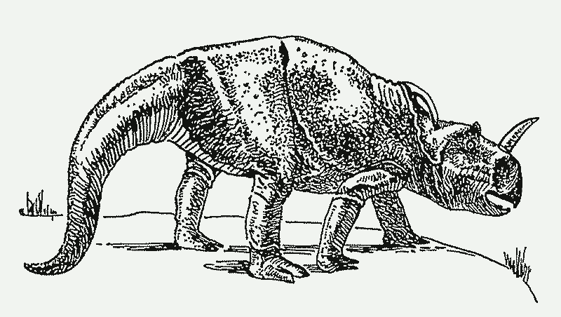 factually inaccurate line art drawing of a centrosaurus